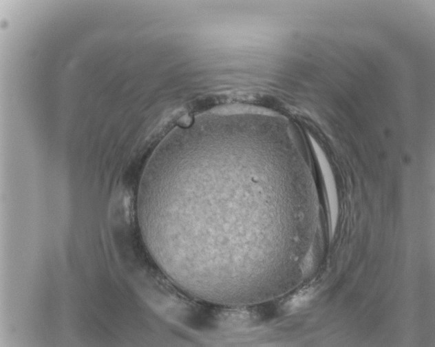 X0000062170123200512121250