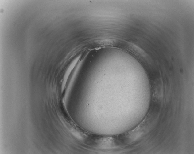 X0000062170124200512121250