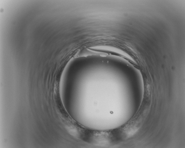 X0000062170125200512121250