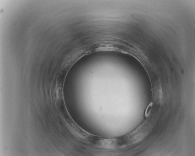 X0000062170126200512121250