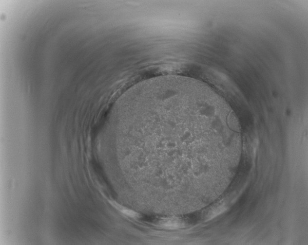 X0000062170127200512121250