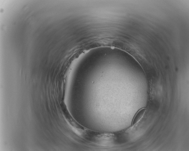 X0000062170128200512121250