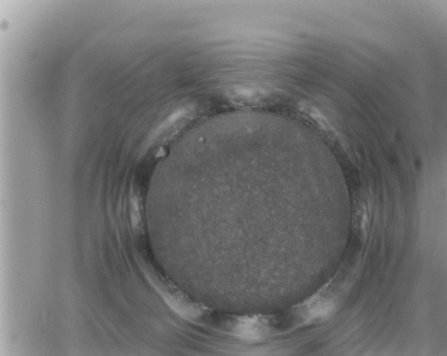 X0000062170130200512121250