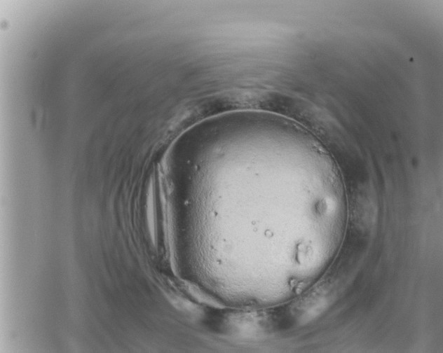 X0000062170131200512121250