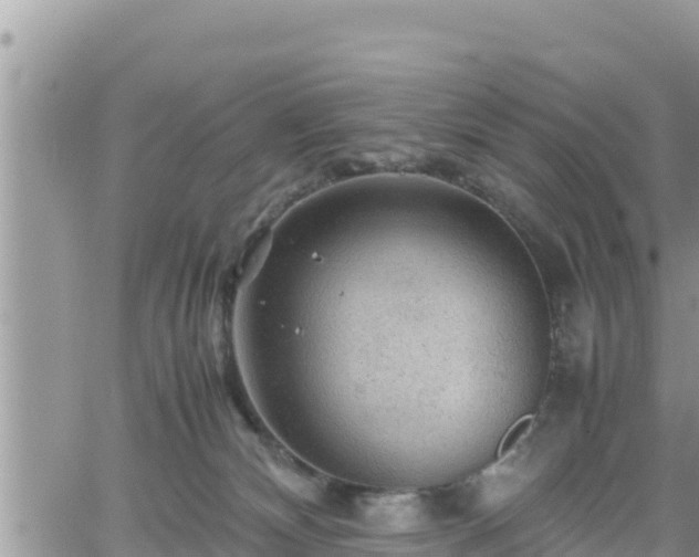 X0000062170132200512121250