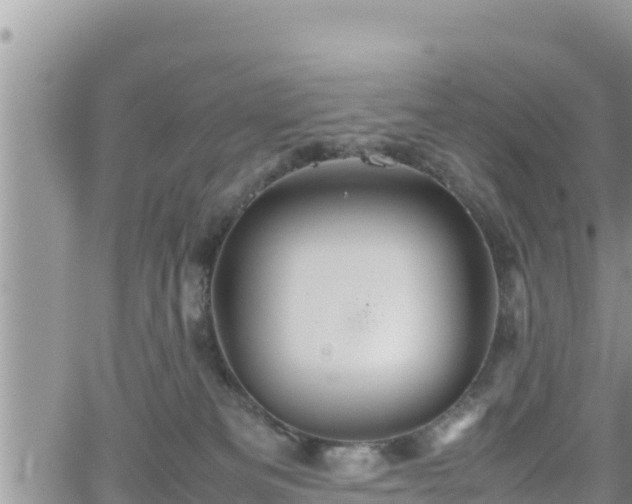 X0000062170133200512121250