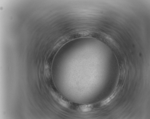 X0000062170136200512121250