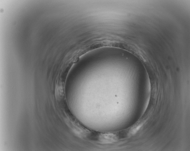 X0000062170137200512121250