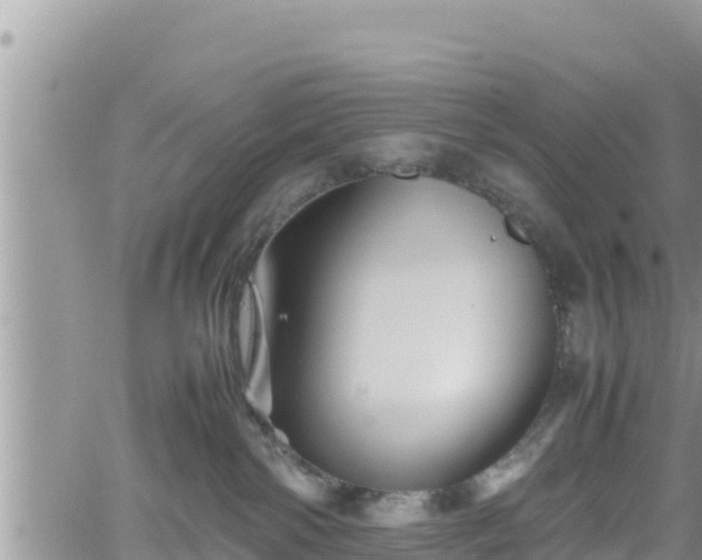 X0000062170138200512121250