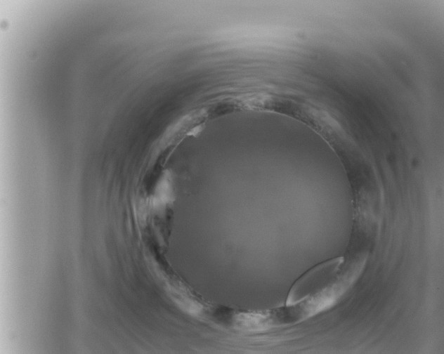 X0000062170139200512121250