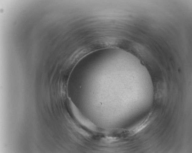 X0000062170140200512121250