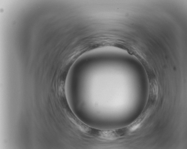 X0000062170141200512121250