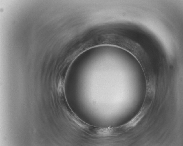 X0000062170142200512121250