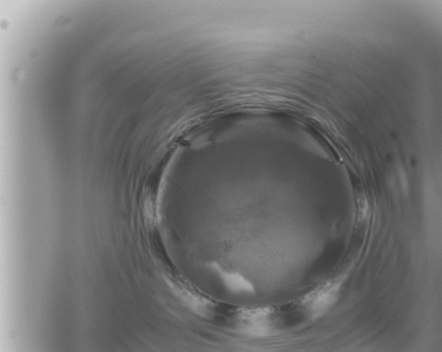 X0000062170143200512121250