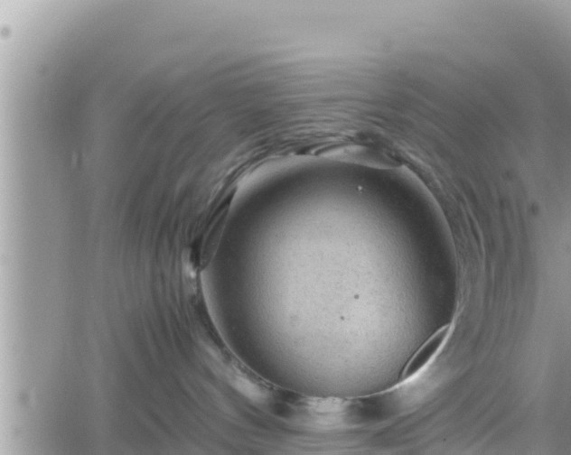 X0000062170144200512121250