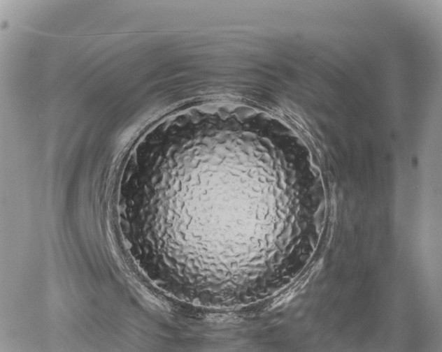 X0000062170145200512121249