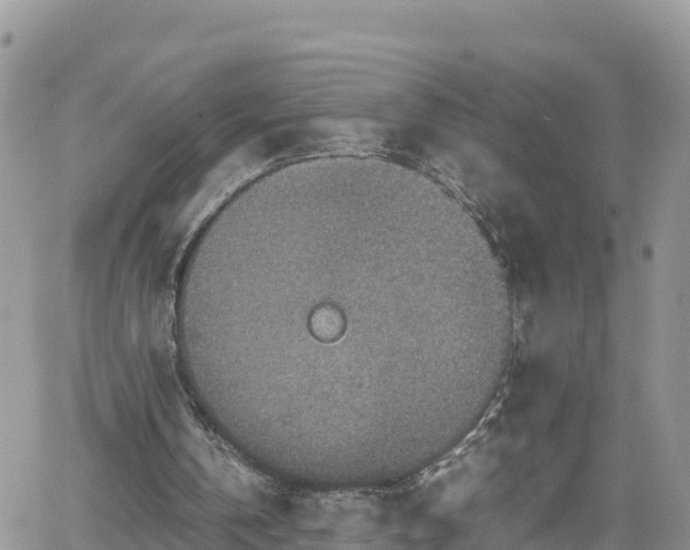 X0000062170146200512121249