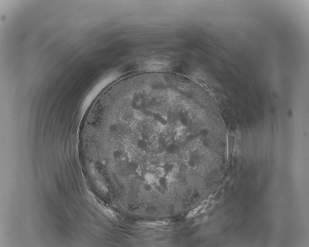 X0000062170147200512121249