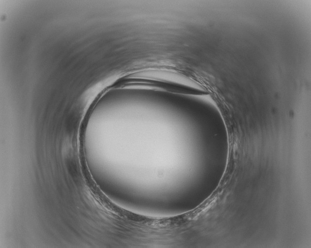 X0000062170148200512121249