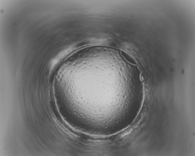 X0000062170149200512121249