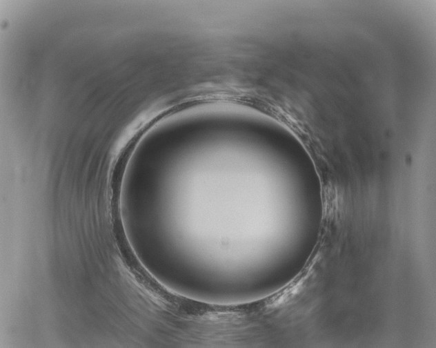 X0000062170150200512121249