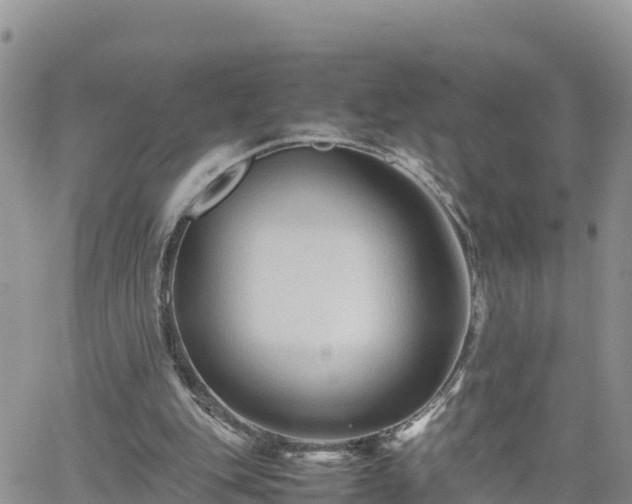 X0000062170151200512121249