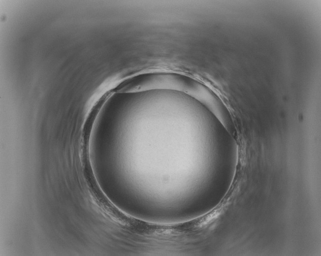 X0000062170152200512121249