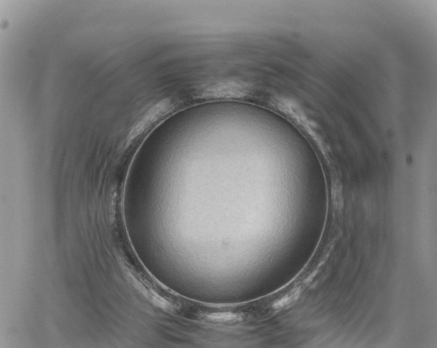 X0000062170153200512121249