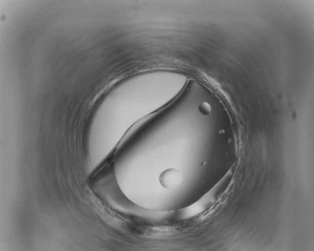 X0000062170154200512121249