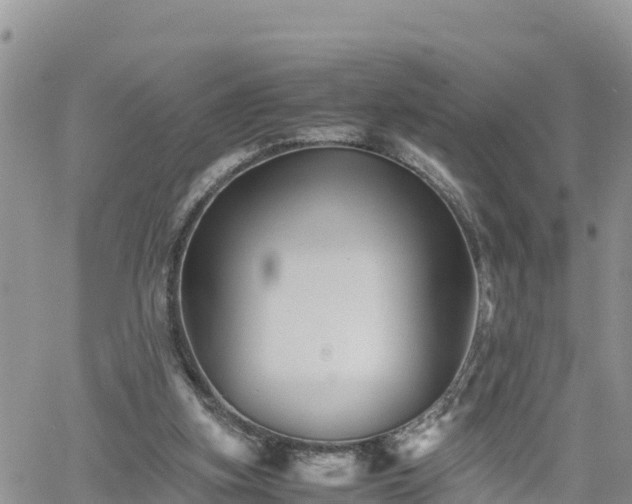 X0000062170155200512121249