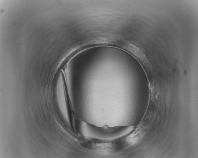 X0000062170156200512121249