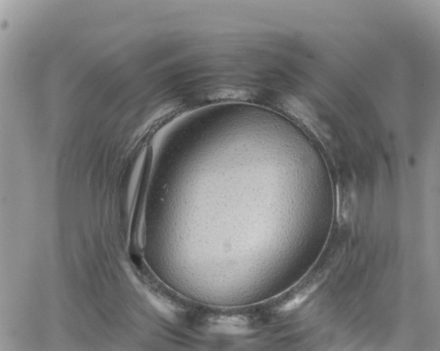 X0000062170157200512121249