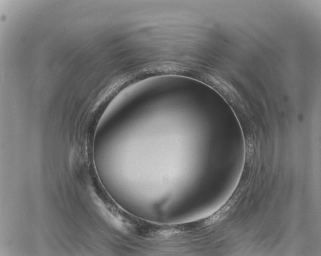 X0000062170158200512121249