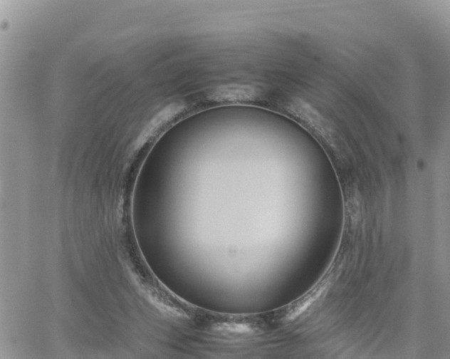 X0000062170159200512121249