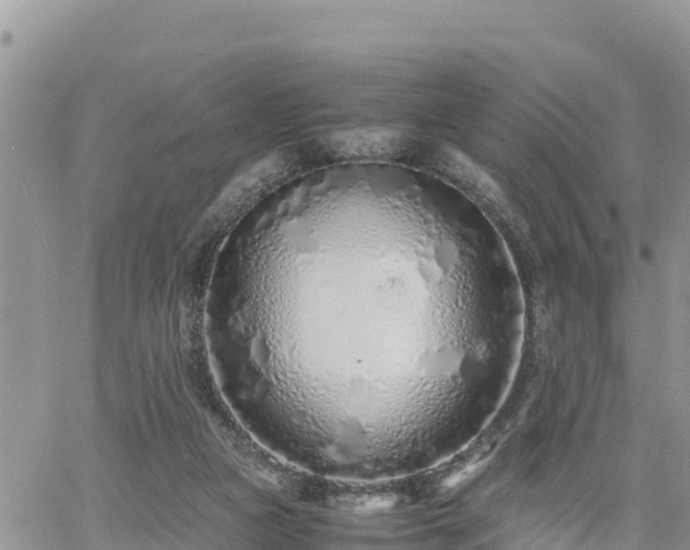 X0000062170161200512121249