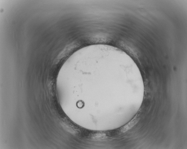 X0000062170162200512121249