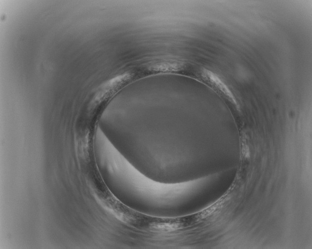 X0000062170163200512121249