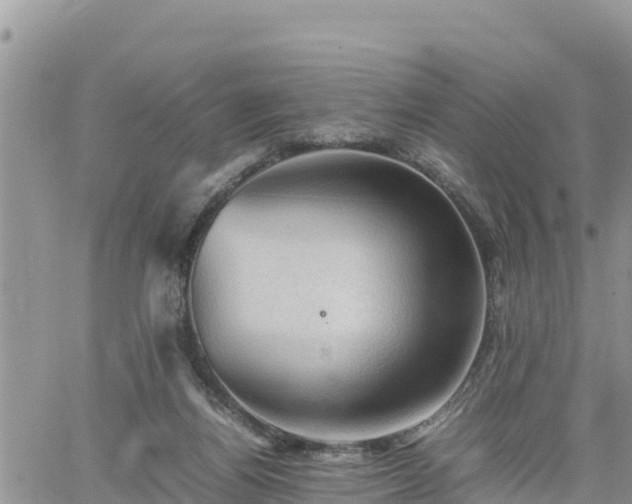 X0000062170164200512121249