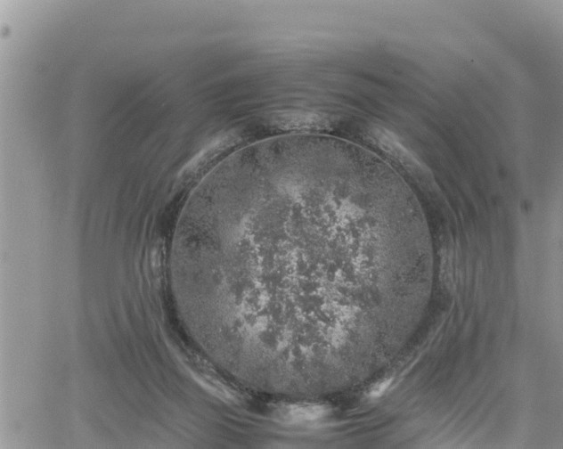 X0000062170165200512121249