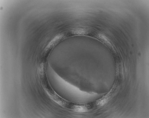 X0000062170167200512121249