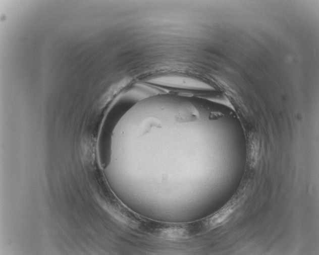 X0000062170168200512121249