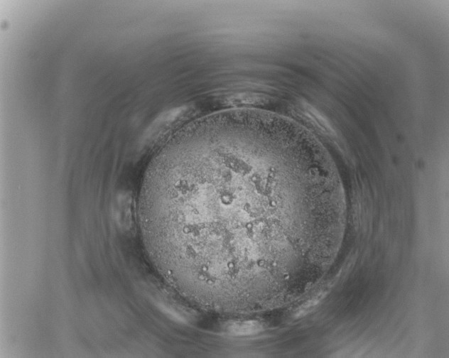 X0000062170169200512121249