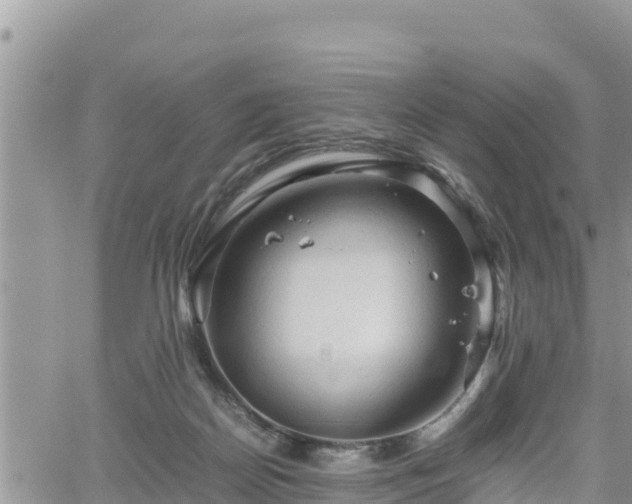 X0000062170170200512121249