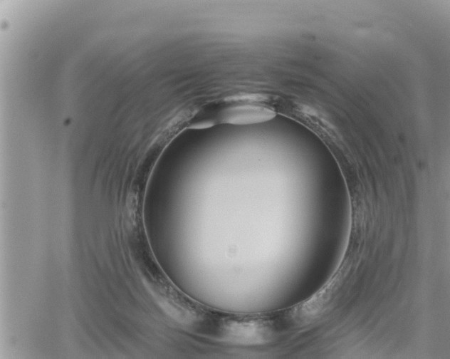 X0000062170171200512121249