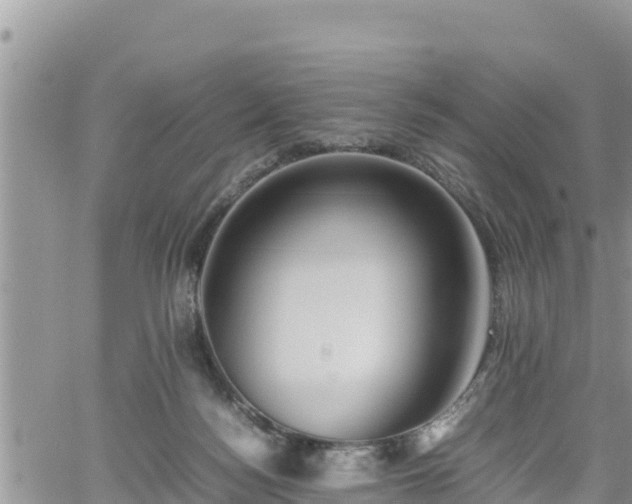 X0000062170172200512121249