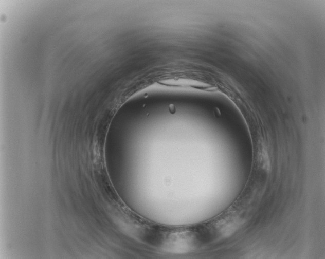 X0000062170173200512121249