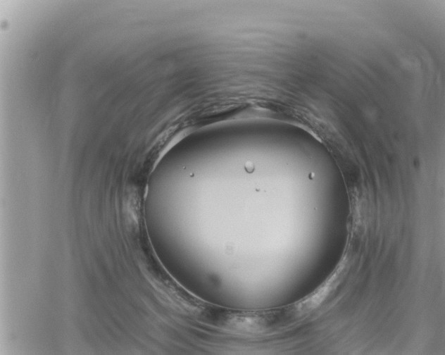 X0000062170174200512121249