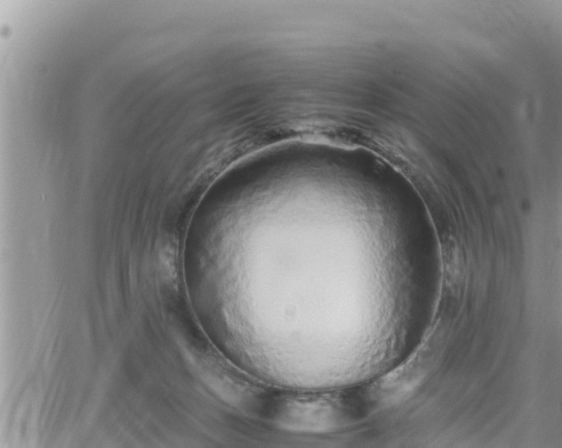 X0000062170175200512121249