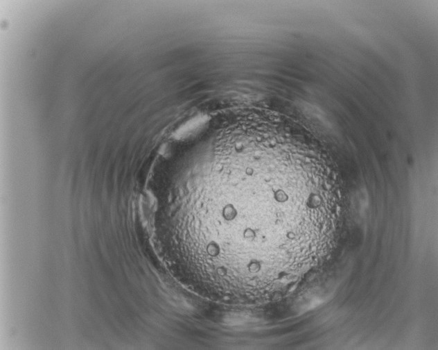 X0000062170177200512121249