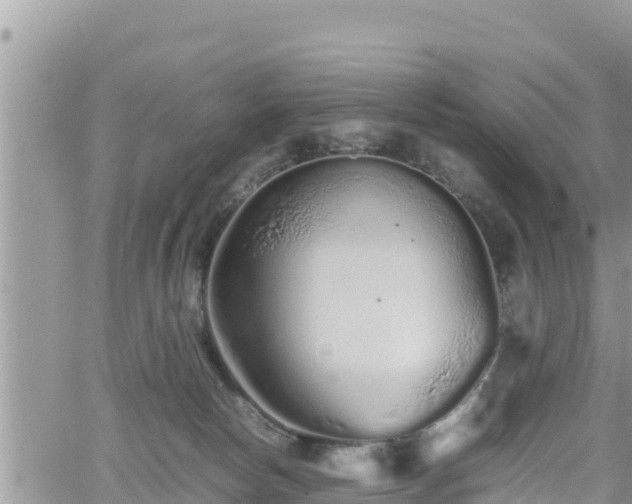 X0000062170178200512121249